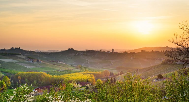 Cantine Tonelli collline-768x416 News 